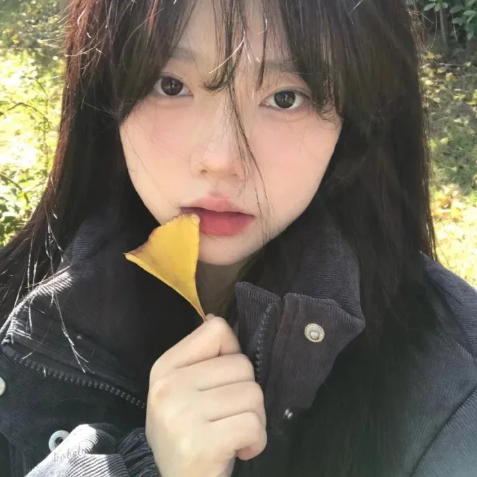 2024年KBS演艺大赏